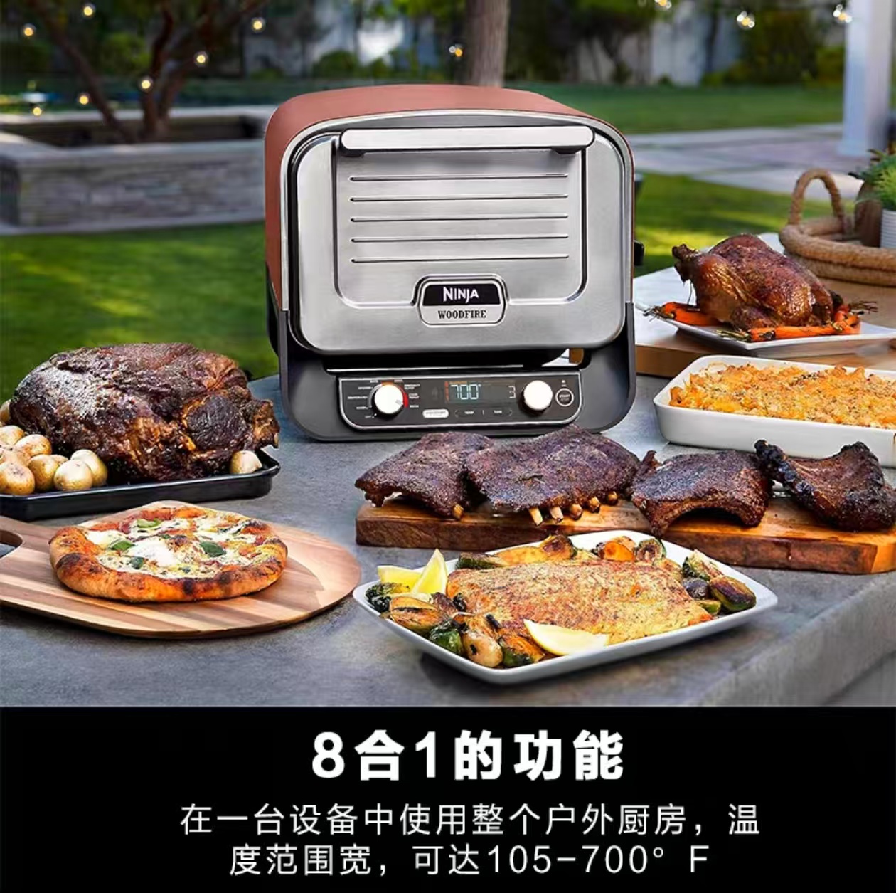2026 Outdoor Pizza Oven for El - огляд і ціна Camping Cooking Electric